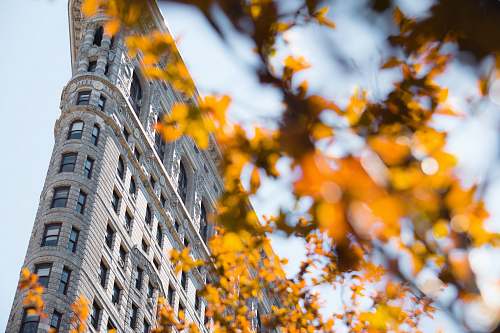 flatiron building  new york